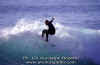 11-03-Gino-001.jpg (40829 byte)