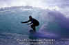 11-03-Gino-006.jpg (46680 byte)