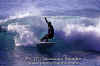 11-03-Gino-008.jpg (54920 byte)