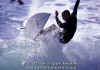 11-03-Gino-010.jpg (54364 byte)