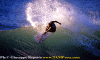 Lg001.gif (95036 byte)