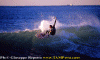 Lg002.gif (85780 byte)