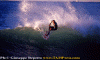 Lg003.gif (91982 byte)