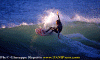 Lg004.gif (89991 byte)