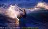 Lg005.gif (101459 byte)
