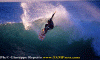 Lg006.gif (89678 byte)