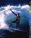 Lg007.gif (88864 byte)
