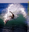 Lg008.gif (99506 byte)