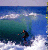 Lg009.gif (91559 byte)