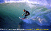Lg011.gif (69526 byte)