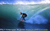 Lg012.gif (71433 byte)