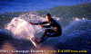Lg013.gif (72965 byte)