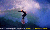 Lg014.gif (65570 byte)