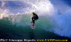 Lg015.gif (66034 byte)