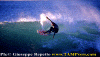 Lg016.gif (59349 byte)