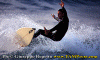 Azione-003.gif (75865 byte)