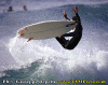 Azione-005.gif (90981 byte)
