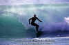 11-03-Panda-006.jpg (47463 byte)