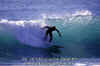 11-03-Panda-008.jpg (41665 byte)