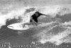 BN-05.gif (108699 byte)