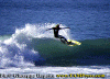 Matteo-01.gif (79897 byte)
