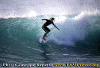 Matteo-02.gif (70915 byte)