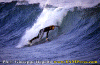 Matteo-04.gif (88613 byte)