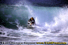 Matteo-05.gif (80084 byte)