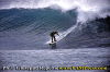 Matteo-06.gif (81680 byte)