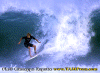 Matteo-07.gif (88613 byte)