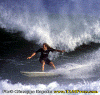 Matteo-08.gif (116335 byte)