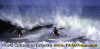 Varazze-z01.gif (59172 byte)