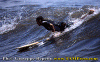 Enzo-006.gif (88095 byte)