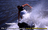 Paolo-003.gif (79465 byte)