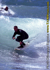 Paolo-004.gif (80979 byte)