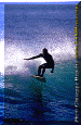 11-ww-009.gif (76017 byte)
