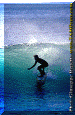 11-ww-010.gif (73945 byte)