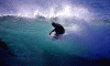 10-Gino-001.gif (65856 byte)
