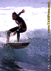 Diego-001.gif (71678 byte)