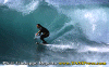 Gino-001.gif (69102 byte)