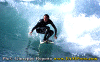 Marco-001.gif (66219 byte)