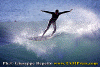 Paolo-Bulga-002.gif (85780 byte)