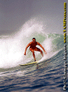 Paolo-Bulga-Bali-001.gif (77441 byte)