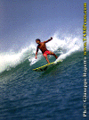 Paolo-Bulga-Bali-002.gif (87784 byte)