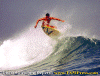Paolo-Bulga-Bali-003.gif (94475 byte)