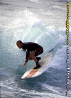 Pippo-001.gif (76186 byte)