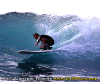 Pippo-002.gif (81081 byte)