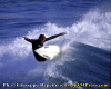 Quirin-02.gif (94386 byte)