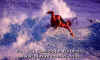ACTION-002.jpg (48113 byte)