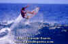 ACTION-003.jpg (41005 byte)